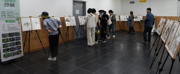 전남산림연구원, 흰털괭이눈 등 자생식물 표본전시_5