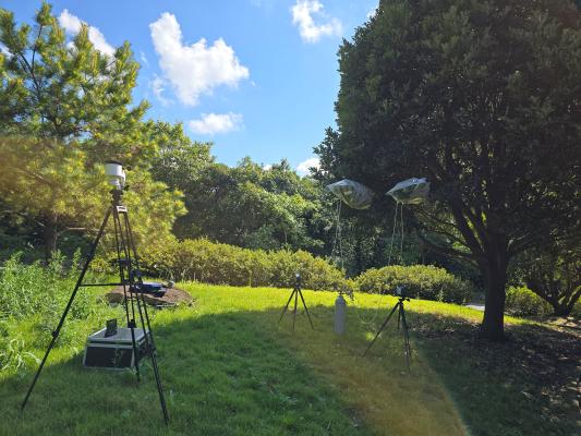 전남 난대숲, 겨울에도 피톤치드 다량으로 뿜어낸다_2